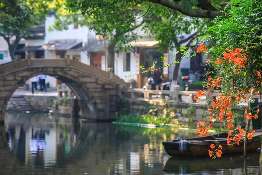 可爱猪救援2